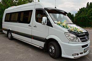 Mercedes Sprinter VIP Mercedes Sprinter VIP