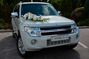 Mitsubishi Pajero Mitsubishi Pajero